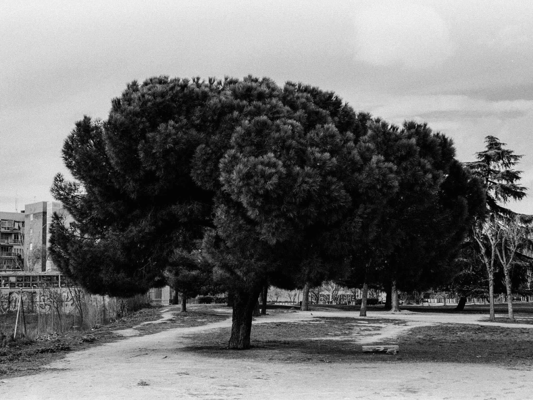 Visual Journal 01 14