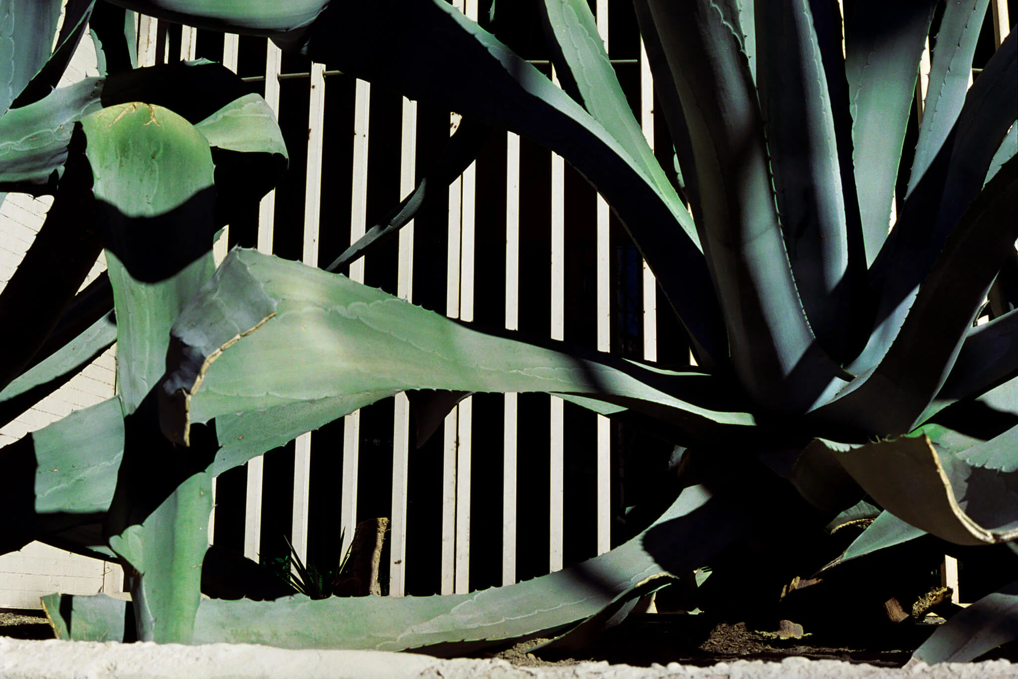 Visual Journal 01 2